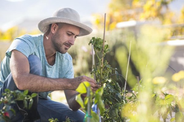 les dernières tendances en termes de souris ergonomiques verticales